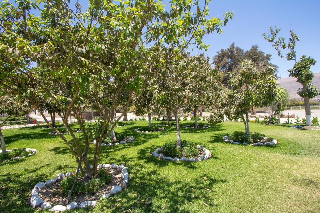 Hotel Fundo San Rafael Nazca Bagian luar foto